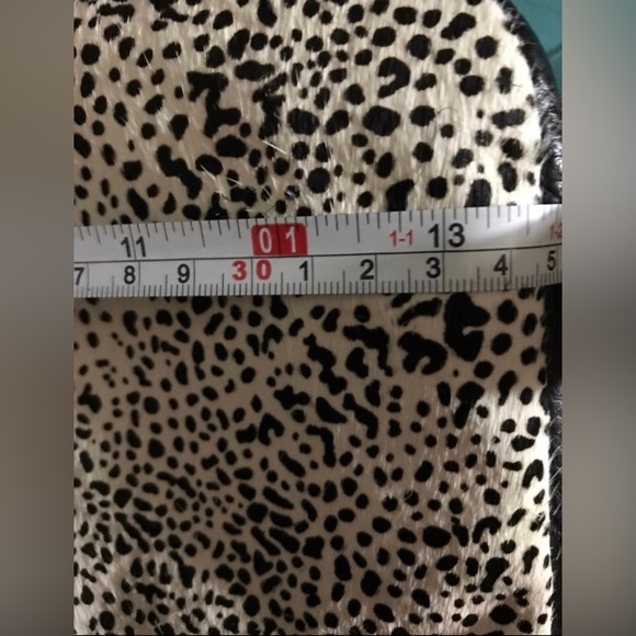 FOSSIL - Picture 7 of 7